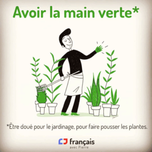Test de vocabulaire - Avoir la main verte - Français avec Pierre