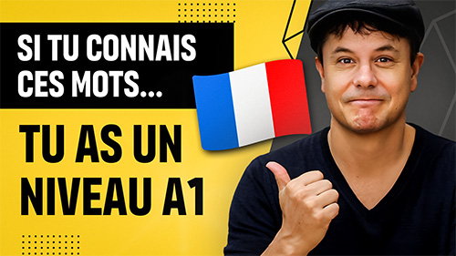 Vocabulaire de niveau A1 - Français avec Pierre