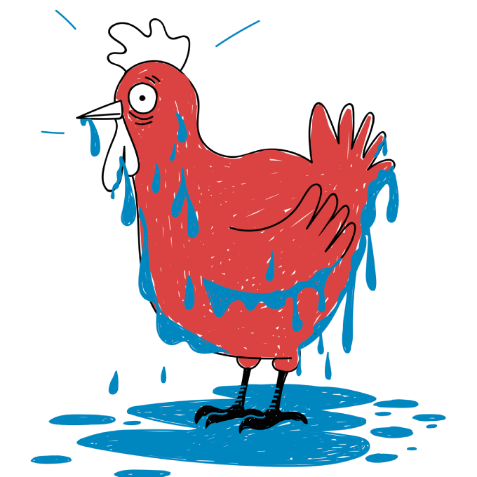 Être une poule mouillée - Français avec Pierre